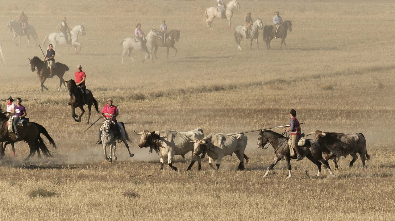 Descubre la adrenalina de los encierros a caballos: una tradición en la Sierra de Albarracín