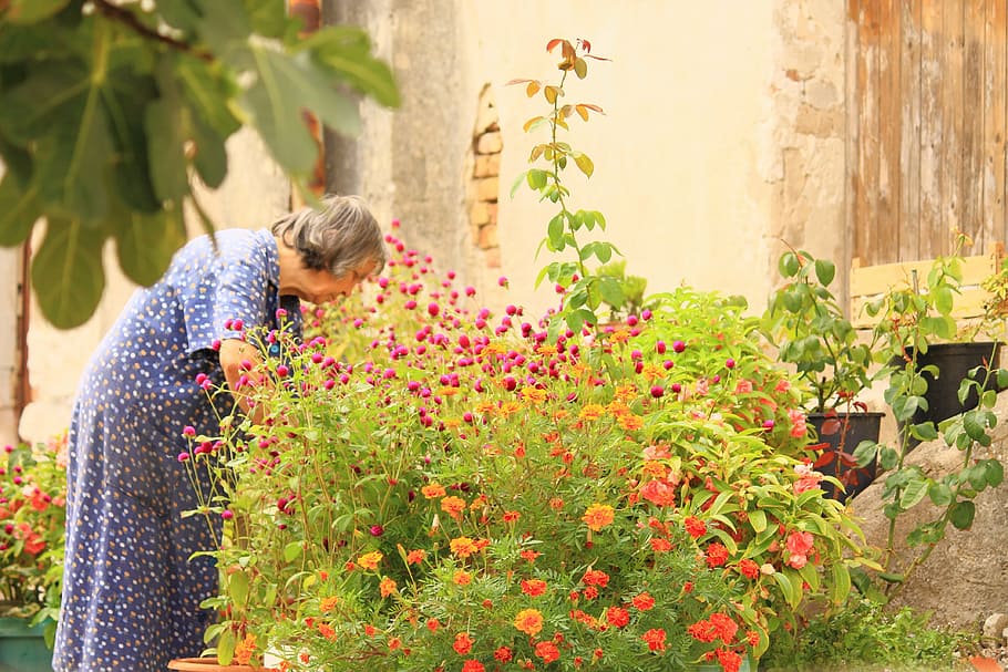 Da vida a tu jardín